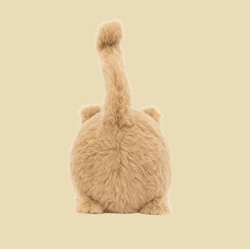Kitten Caboodle Ginger