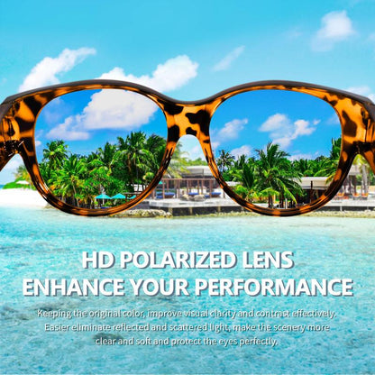 Polarized Overglasses