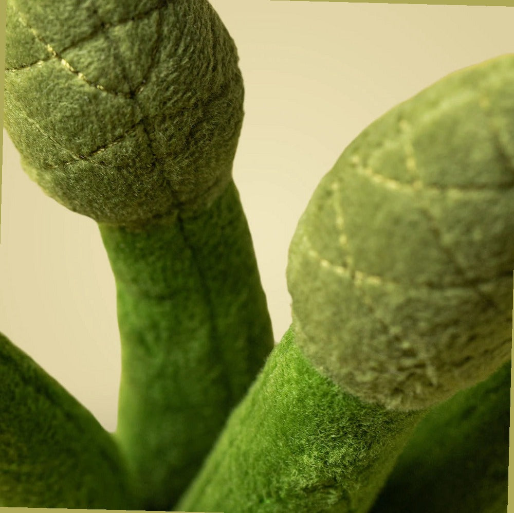 Amuseables Asparagus