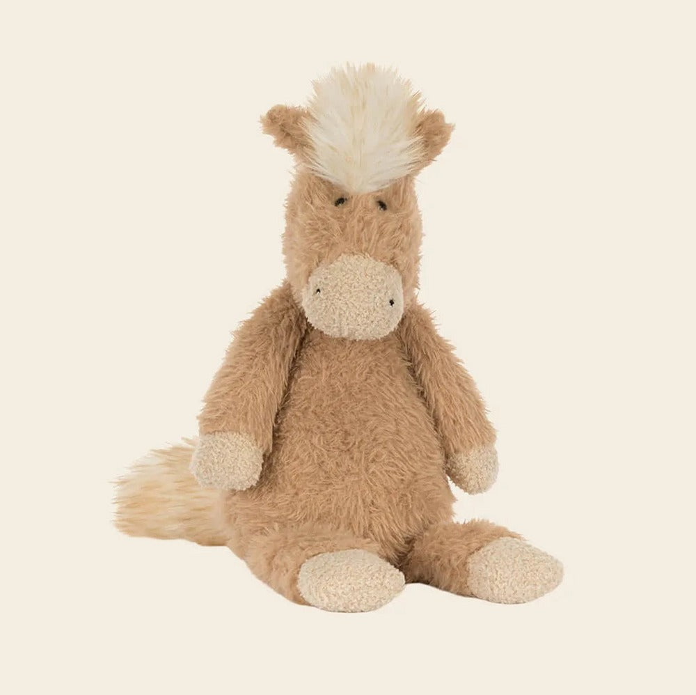 Canterneigh Pony