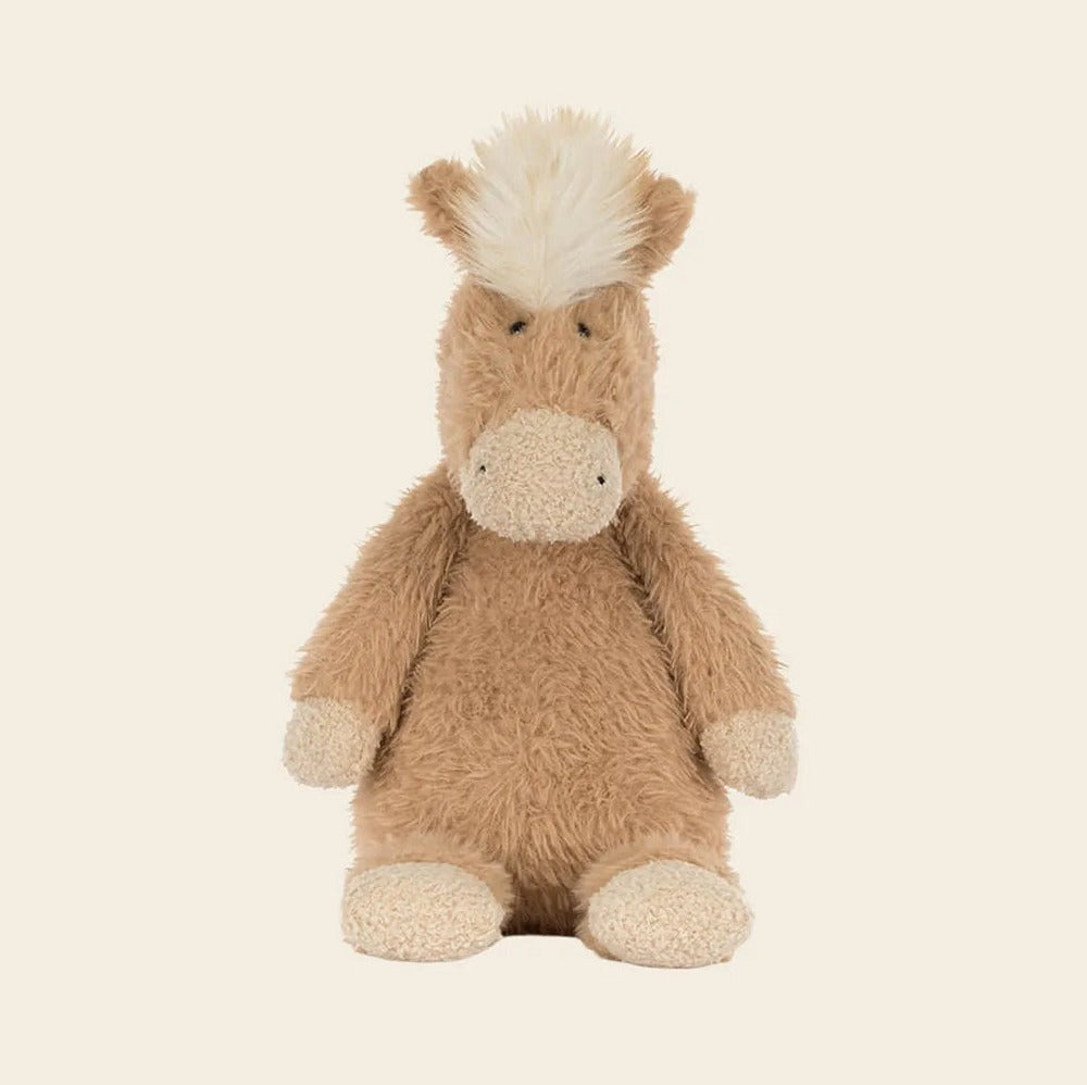 Canterneigh Pony