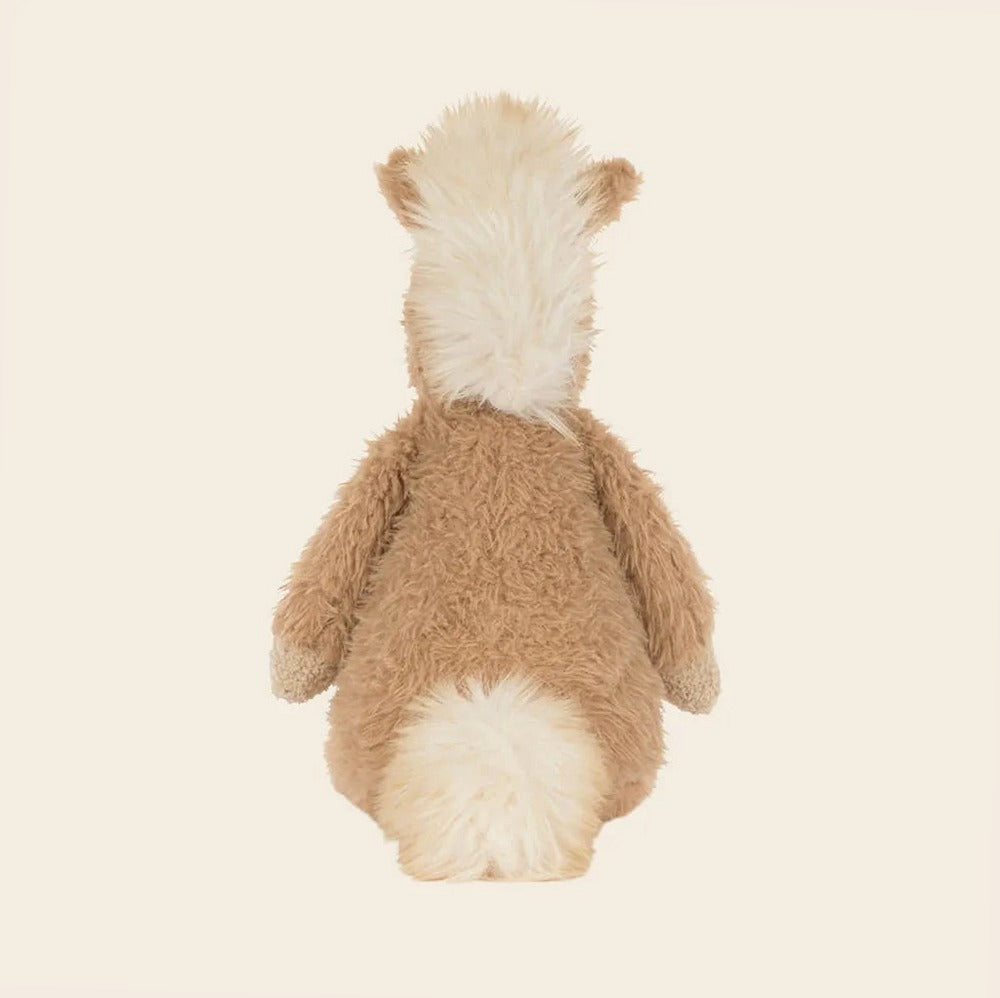 Canterneigh Pony