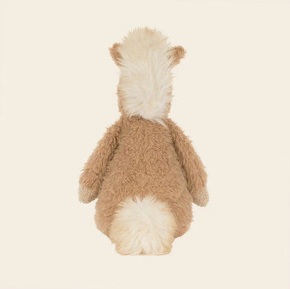 Canterneigh Pony