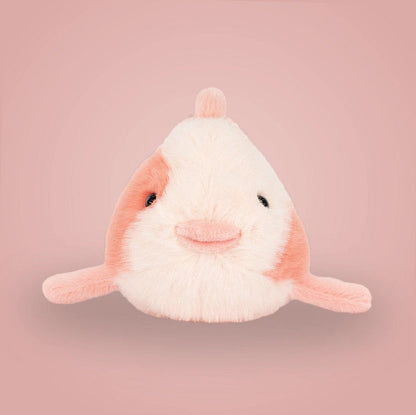 Fancy Carp