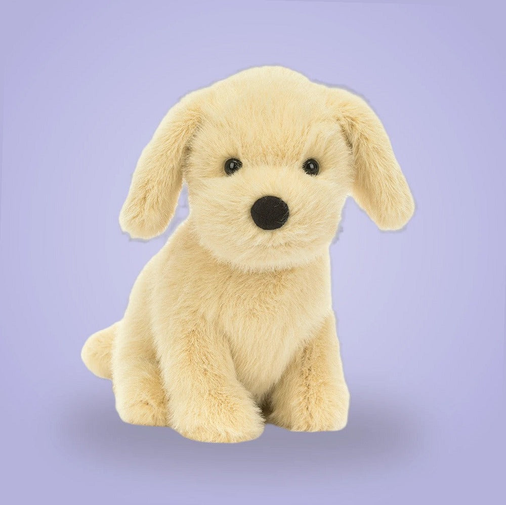 Golden Puppy