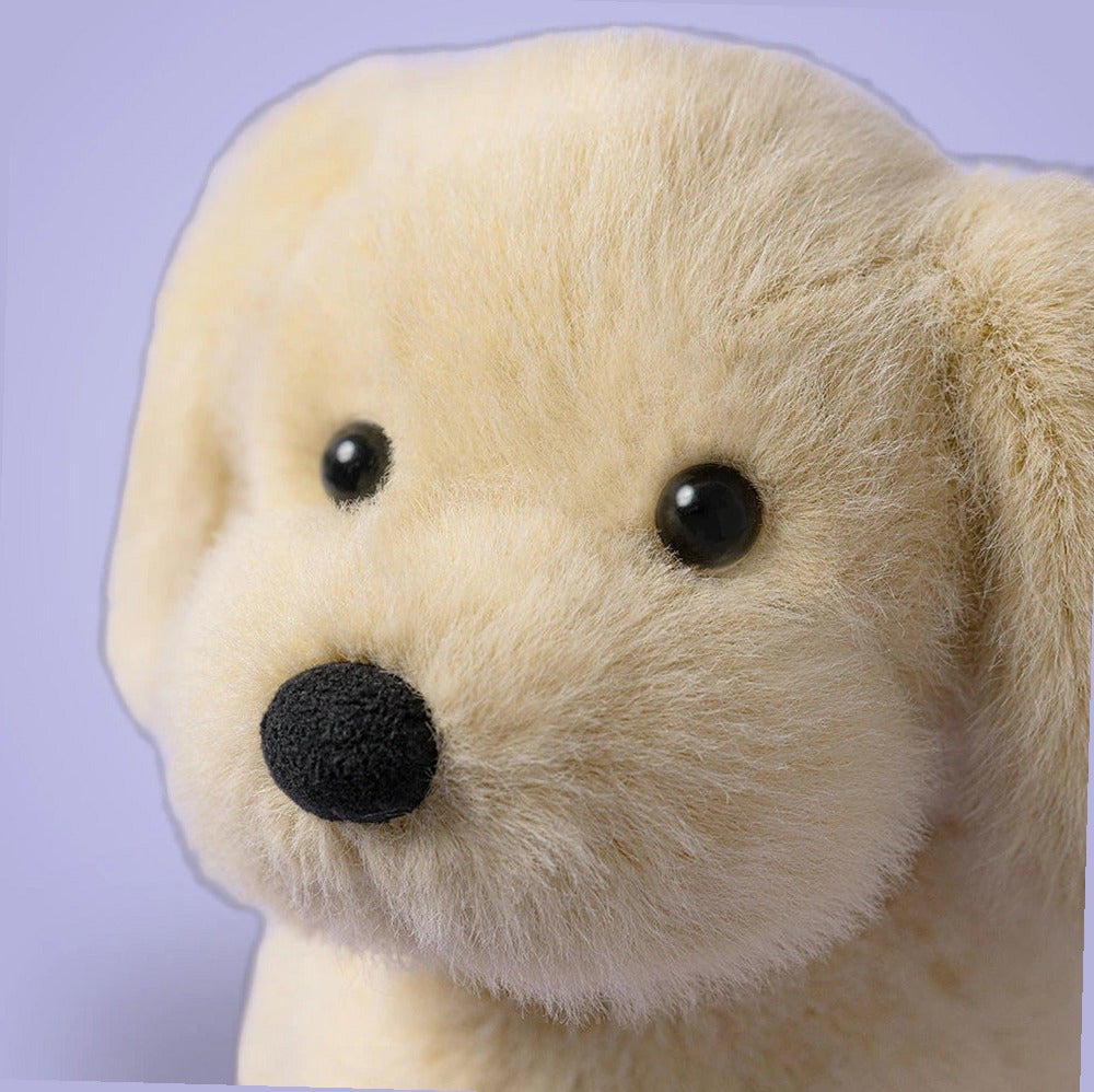 Golden Puppy
