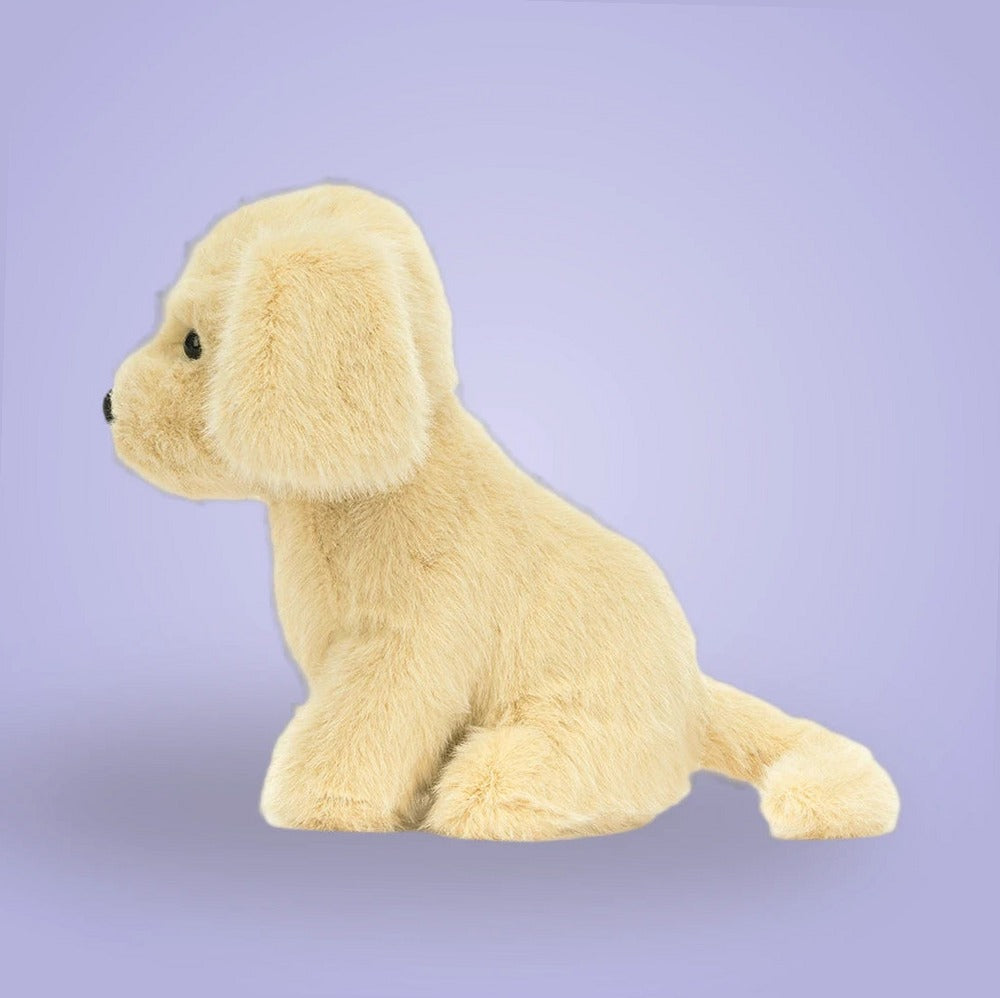 Golden Puppy
