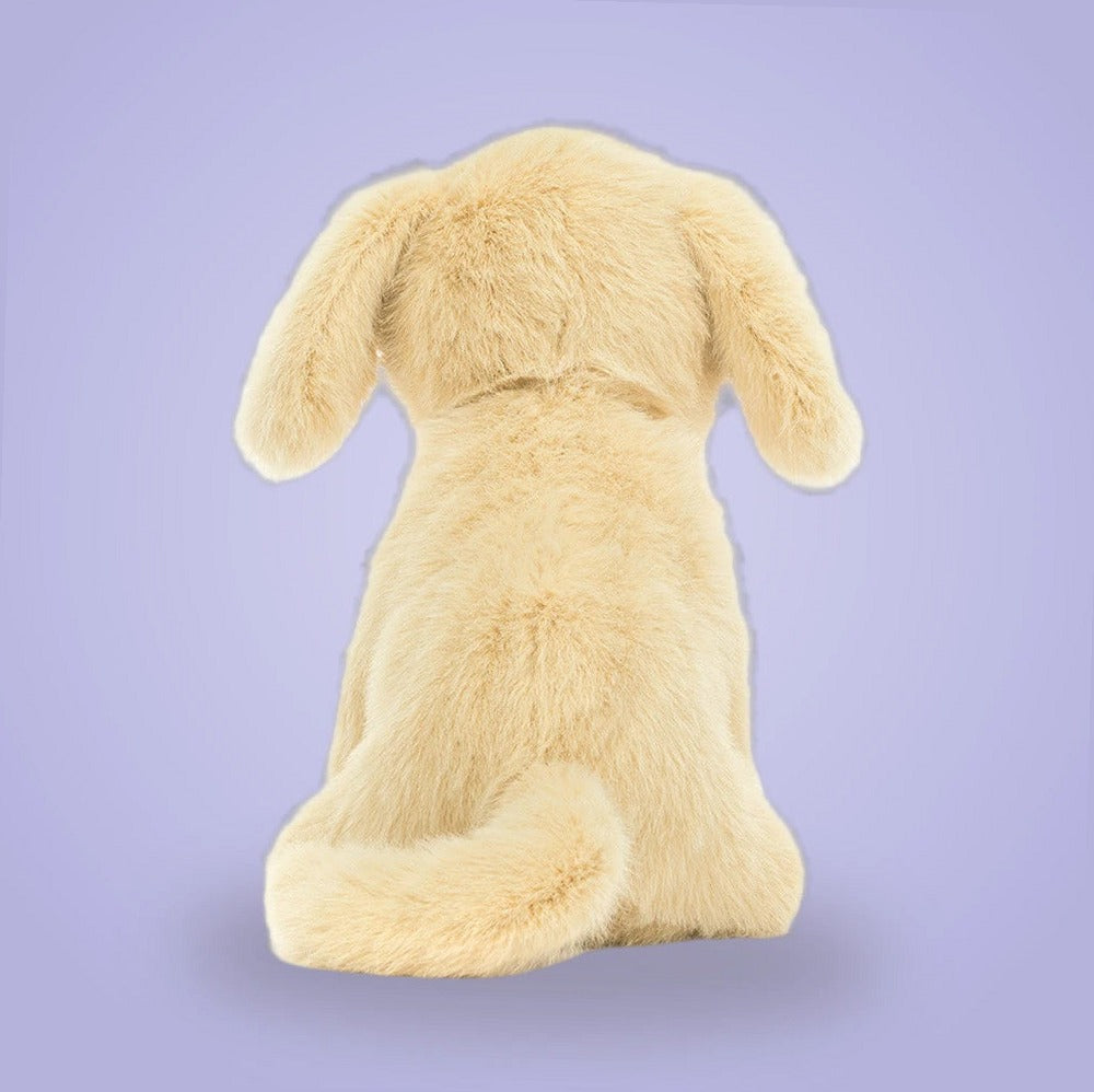 Golden Puppy