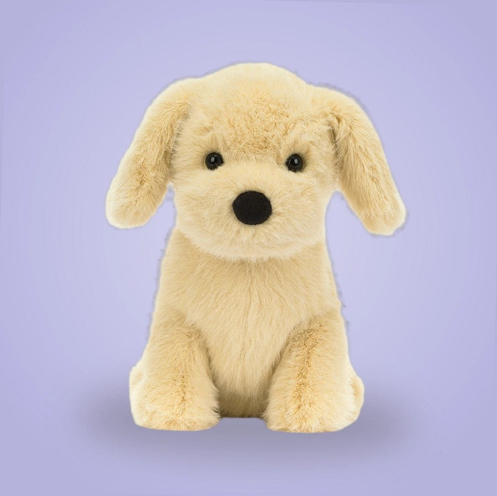 Golden Puppy