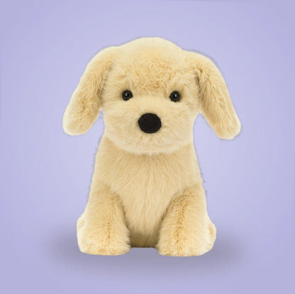 Golden Puppy