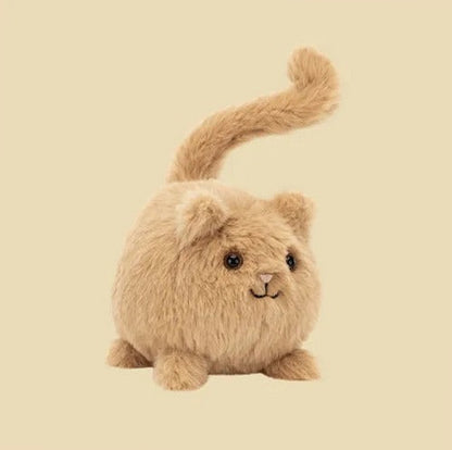 Kitten Caboodle Ginger