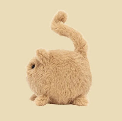 Kitten Caboodle Ginger