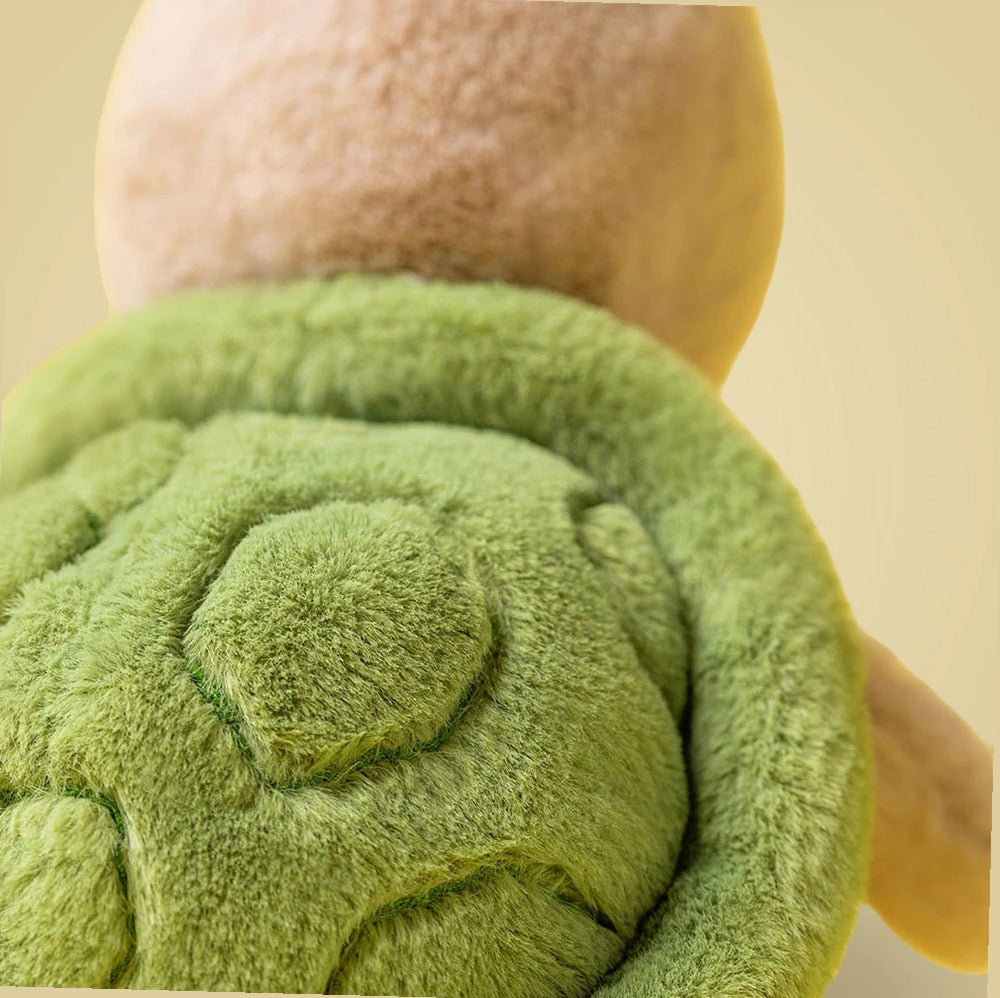 Thimble Turtle