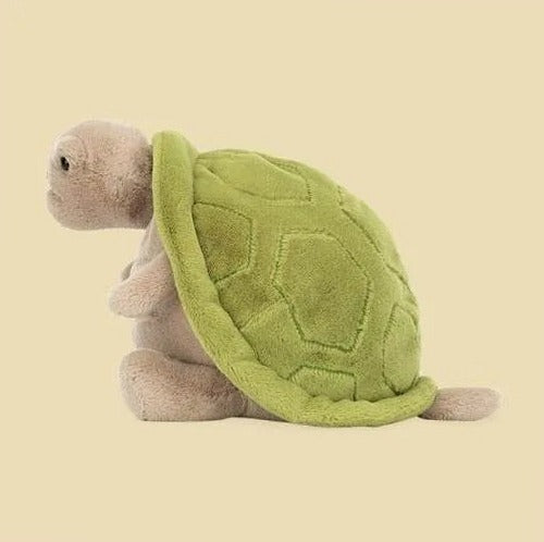 Timmy Turtle